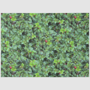 Papier Mousseline Festive Green Holly Berry Noël