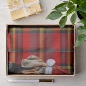 Papier Mousseline Festive Red Plaid et BT Coonhound Noël (Cadeau)