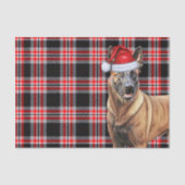 Papier Mousseline Festive Red Plaid et Noël des Malinois belges (Recto)