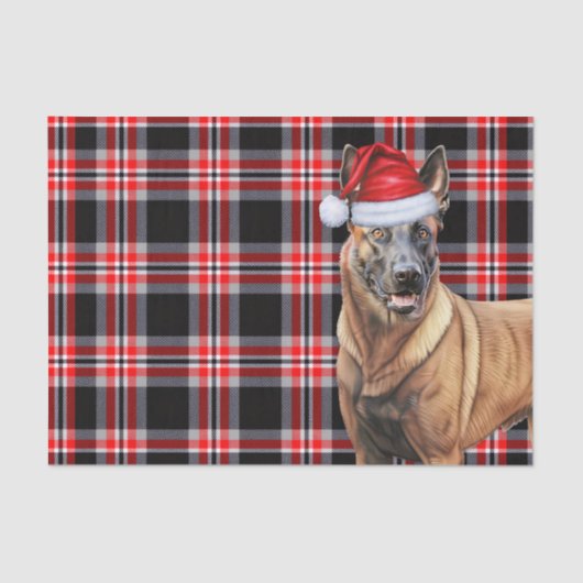 Papier Mousseline Festive Red Plaid et Noël des Malinois belges (Recto)