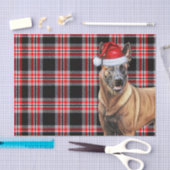 Papier Mousseline Festive Red Plaid et Noël des Malinois belges (Artisanat)