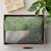 Papier Mousseline Fête de l'été au Danemark (mère et fille) (Cadeau)