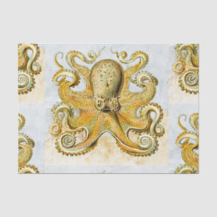 Papier Mousseline Fête des pères de calmar Kraken