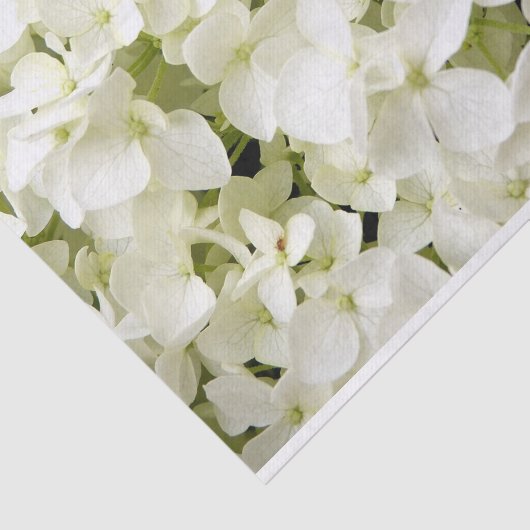 Papier Mousseline Fête d'été avec Hydrangea Blanche (Détail)