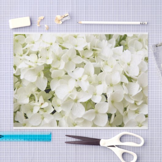 Papier Mousseline Fête d'été avec Hydrangea Blanche (Artisanat)