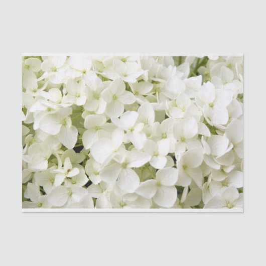 Papier Mousseline Fête d'été de l'hortensia blanc  (Recto)