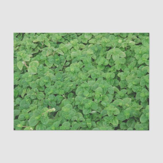 Papier Mousseline Feuillage de menthe (Recto)