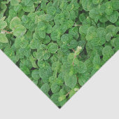 Papier Mousseline Feuillage de menthe (Détail)