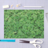 Papier Mousseline Feuillage de menthe (Artisanat)