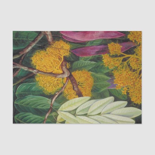 Papier Mousseline Feuillage, fleurs et fruits d'un arbre maya (Recto)