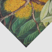 Papier Mousseline Feuillage, fleurs et fruits d'un arbre maya (Détail)