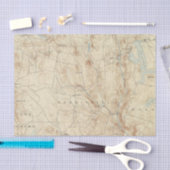 Papier Mousseline Feuille de 2 Sandisfield (Artisanat)