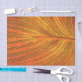 Papier Mousseline Feuille de Canna (Artisanat)
