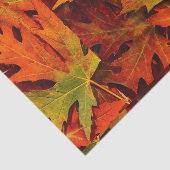 Papier Mousseline Feuille de chute (Détail)