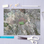 Papier Mousseline Feuille de chute sur la roche (Artisanat)