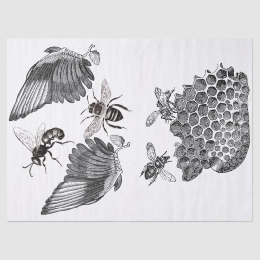 Papier Mousseline Feuille de Decoupage d'éléments de journal (Recto)