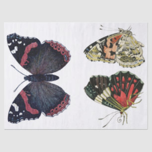 Papier Mousseline Feuille de Decoupage d'éléments de papillon de