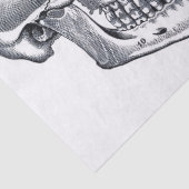 Papier Mousseline Feuille d'éléments d'anatomie de journal d'ordure (Détail)