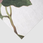 Papier Mousseline Feuille d'éléments du journal de junk rose rose (Détail)