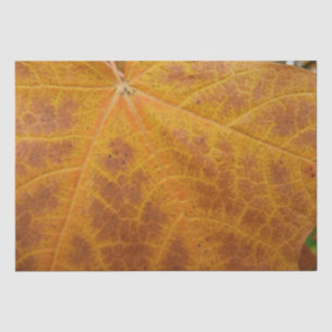 Papier Mousseline Feuille d'érable jaune Automne Abstraite Nature