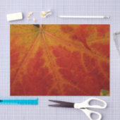 Papier Mousseline Feuille d'érable rouge Abstraite Automne Photograp (Artisanat)