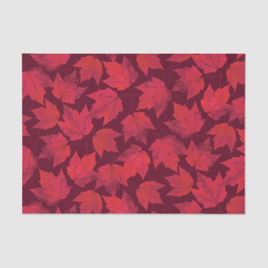 Papier Mousseline Feuille d'érable rouge d'automne (Recto)