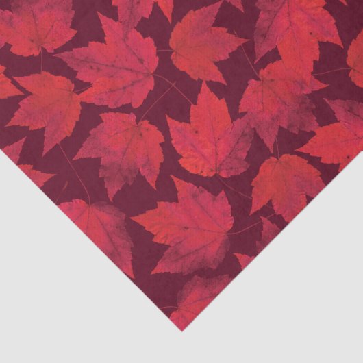 Papier Mousseline Feuille d'érable rouge d'automne (Détail)