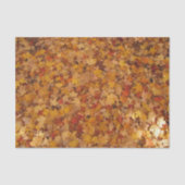 PAPIER MOUSSELINE FEUILLES D'AUTOMNE (Recto)