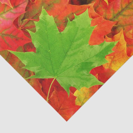 Papier Mousseline Feuilles d'automne (Détail)