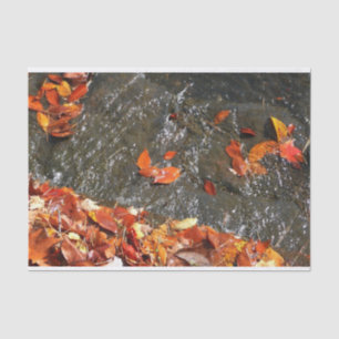 Papier Mousseline Feuilles d'automne dans la cascade I Photographie 