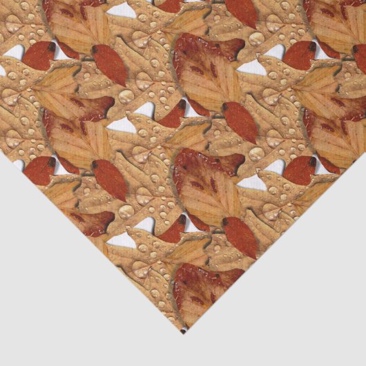 Papier Mousseline Feuilles d'automne humides (Détail)