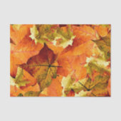 Papier Mousseline Feuilles d'automne tombées (Recto)