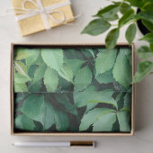 Papier Mousseline Feuilles de raisins verts (Cadeau)