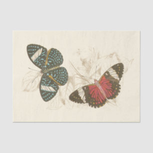 Papier Mousseline Feuilles de Sepia avec papillons colorés