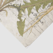 Papier Mousseline Feuilles de tissu de Decoupage de manuscrit de (Détail)