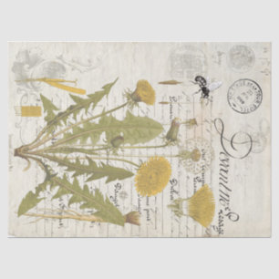 Papier Mousseline Feuilles de tissu de Decoupage de manuscrit de
