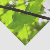 Papier Mousseline Feuilles d'érable avec Raindrops (Détail)