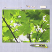 Papier Mousseline Feuilles d'érable avec Raindrops (Artisanat)