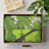 Papier Mousseline Feuilles d'érable avec Raindrops (Cadeau)