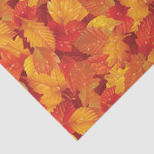 Papier Mousseline Feuilles mouillés tombés. Arrière - plan automatiq (Détail)