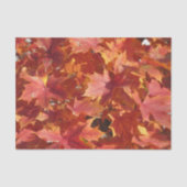 Papier Mousseline Feuilles Red Maple (Recto)