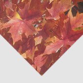 Papier Mousseline Feuilles Red Maple (Détail)