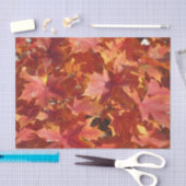 Papier Mousseline Feuilles Red Maple (Artisanat)