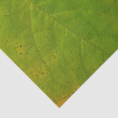 Papier Mousseline Feuilles rouges jaunes et verts (Détail)