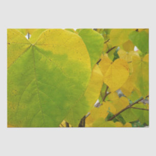 Papier Mousseline Feuilles rouges jaunes et verts