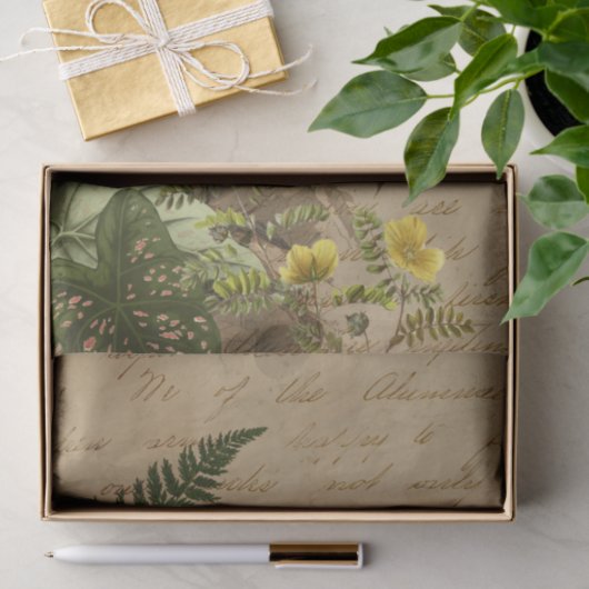 Papier Mousseline Feuilles tropicaux et Ephémère Toucan (Cadeau)