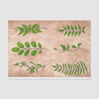 Papier Mousseline Feuilles vertes plantes feuillues en détresse sépi