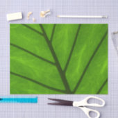 Papier Mousseline Feuilles verts, Arrière - plan feuille, feuille, f (Artisanat)