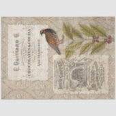 Papier Mousseline Fèves de café Ephemera Bird Masculine Tan Decoupag (Recto)