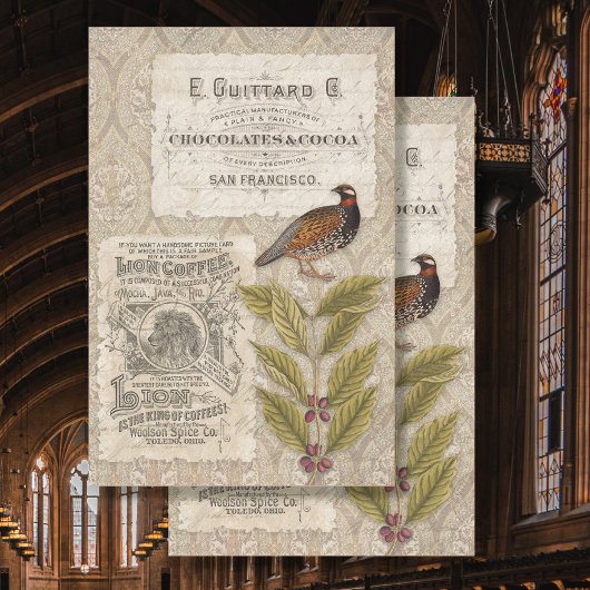 Papier Mousseline Fèves de café Ephemera Bird Masculine Tan Decoupag